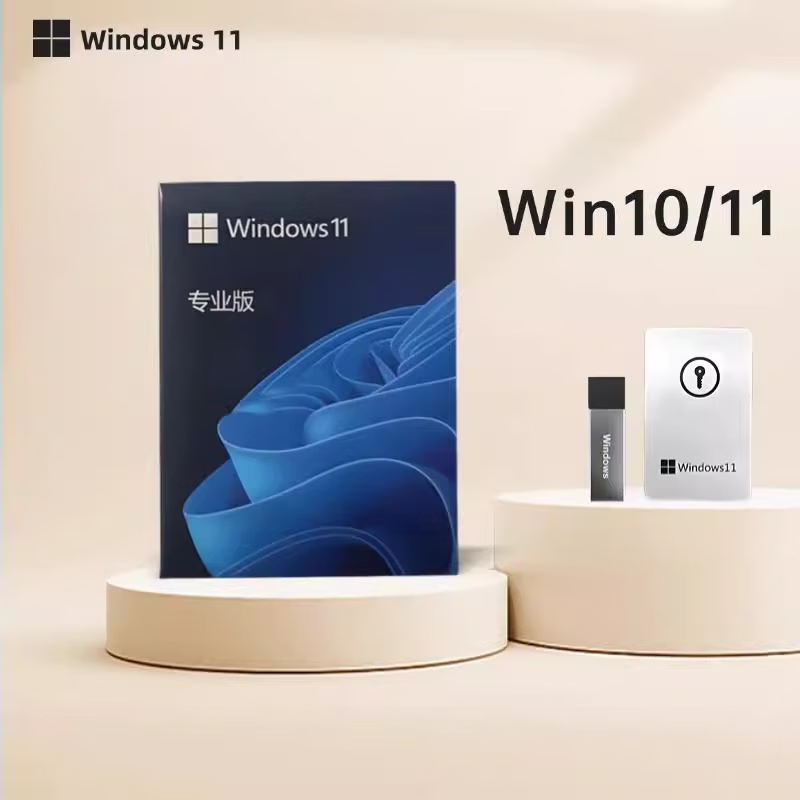 Genuine win10 professional version system U disk reinstallation windows11 home Chinese upgrade Pro pure version win11 professional version-Chinese simplified U disk installation
