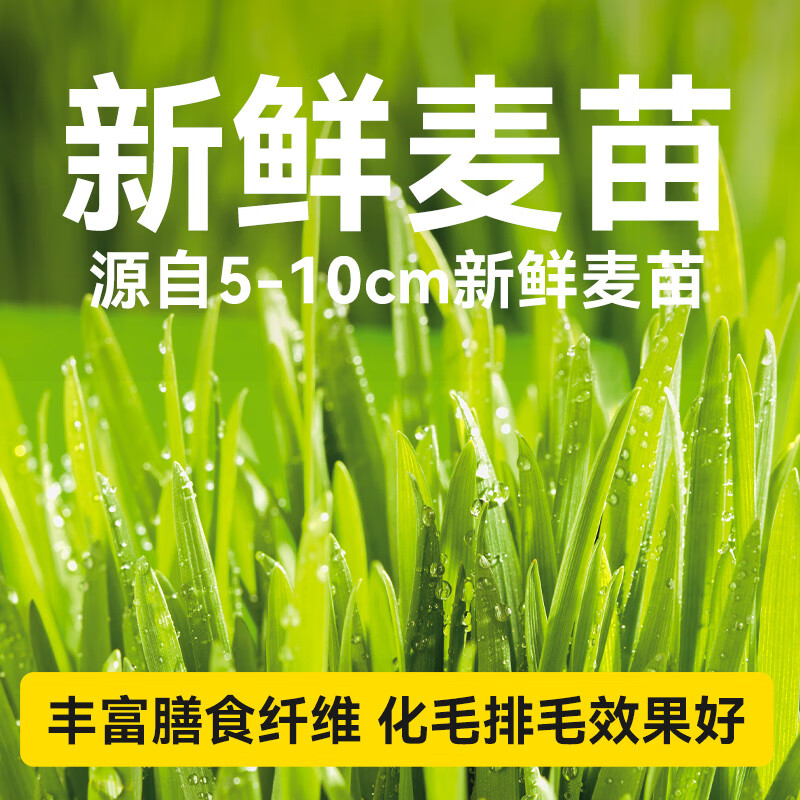 Laughing Pet Cat Grass Hair Removal Cat Strips 100 Count Wholesale Hair Removal Cat Snacks Cat Canned Pet Wet Food 15g*100