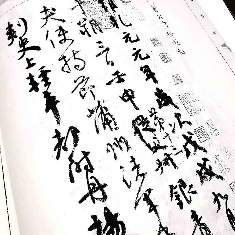 A complete collection of Yan Zhenqing's calligraphy copybooks