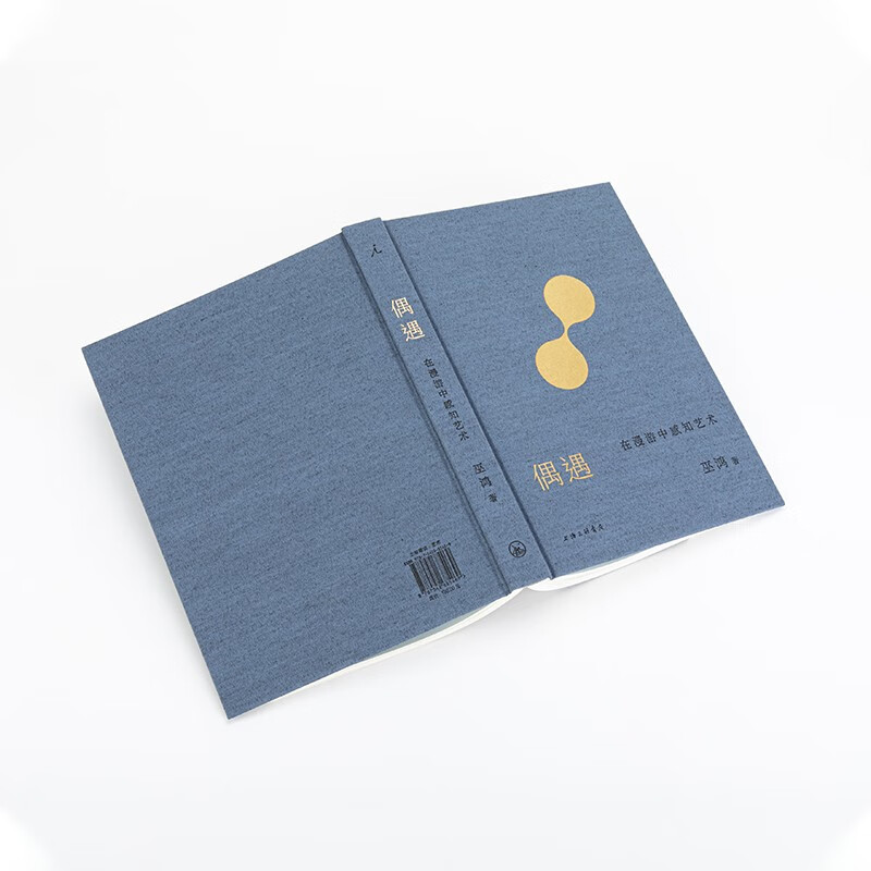 Encountering by chance, perceiving art while wandering, Wu Hung and Lu Zhichang collaborated, written for those who are willing to use their eyes to be interested in images.