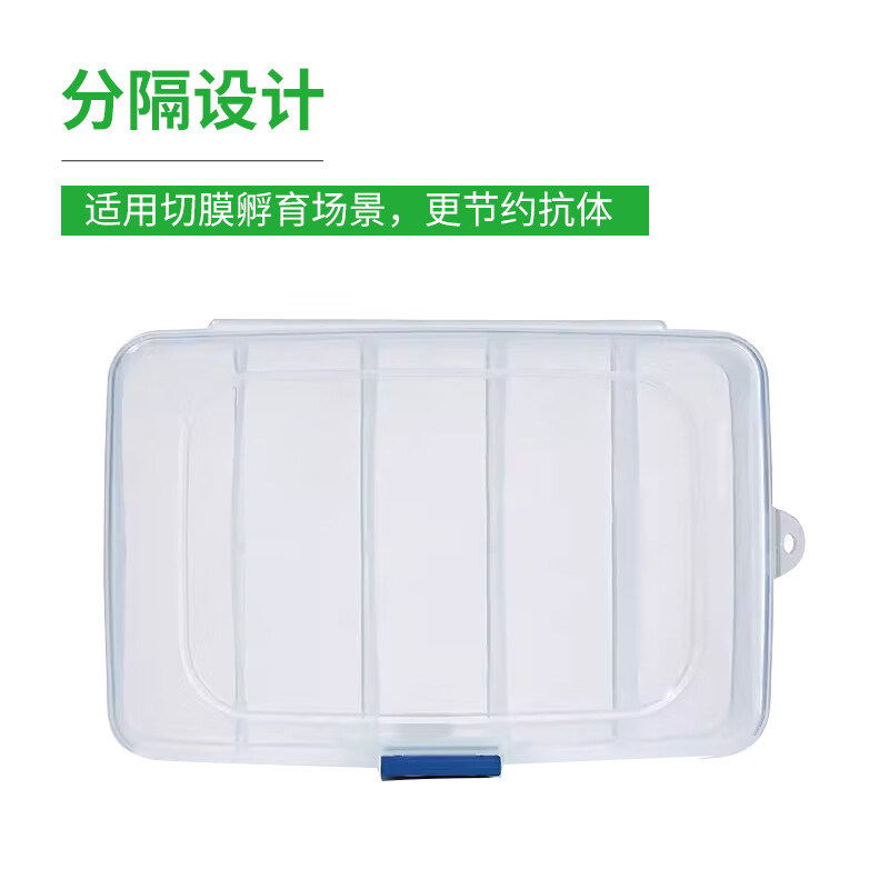 Western blot antibody incubation box, membrane washing box, blocking box, blotting detection box, whole membrane box, membrane cutting box, black light-proof box, free #1 single compartment box