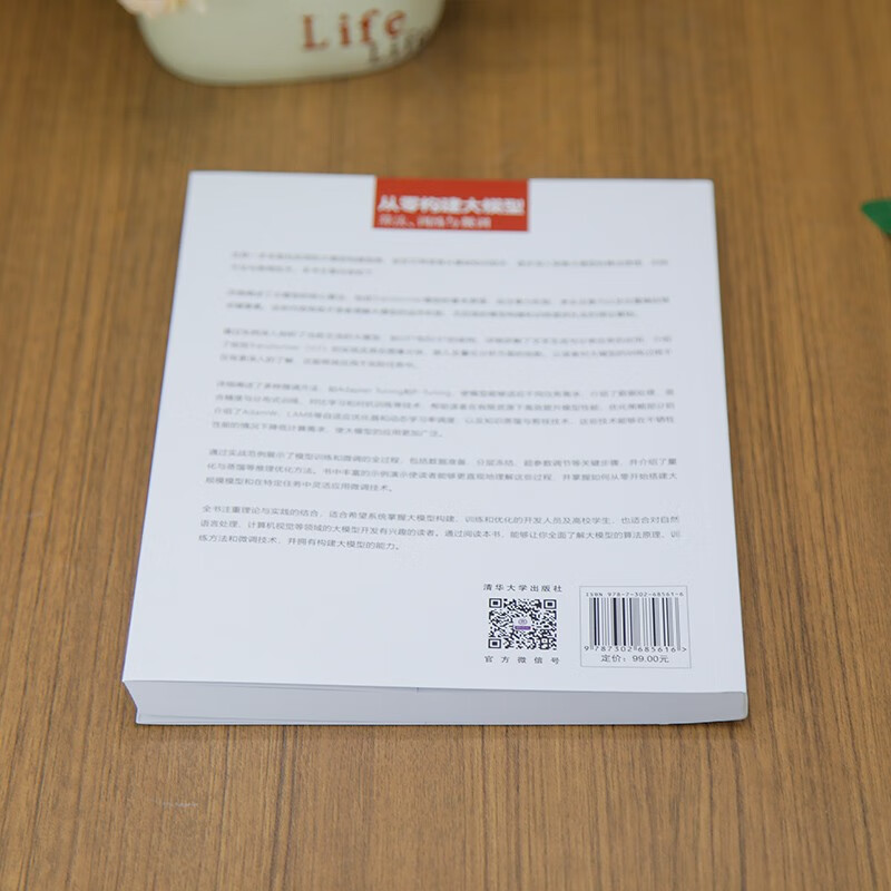 Building large models from scratch Algorithms, training and fine-tuning