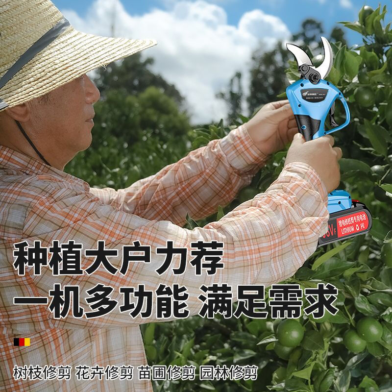 Wuyangbenzong electric scissors for fruit trees rechargeable pruning branches lithium battery gardening scissors pruning tree scissors pruning artifact 6.0 3 batteries + blade telescopic pole