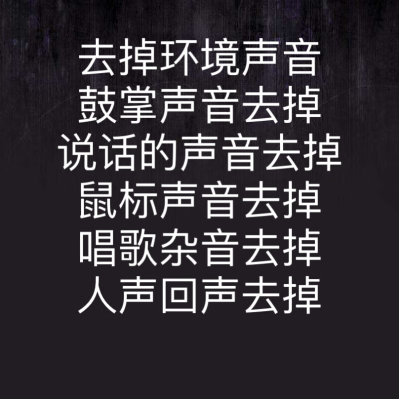 Noise removal, audio repair, music repair, sound quality repair, accompaniment repair, tone repair, song repair