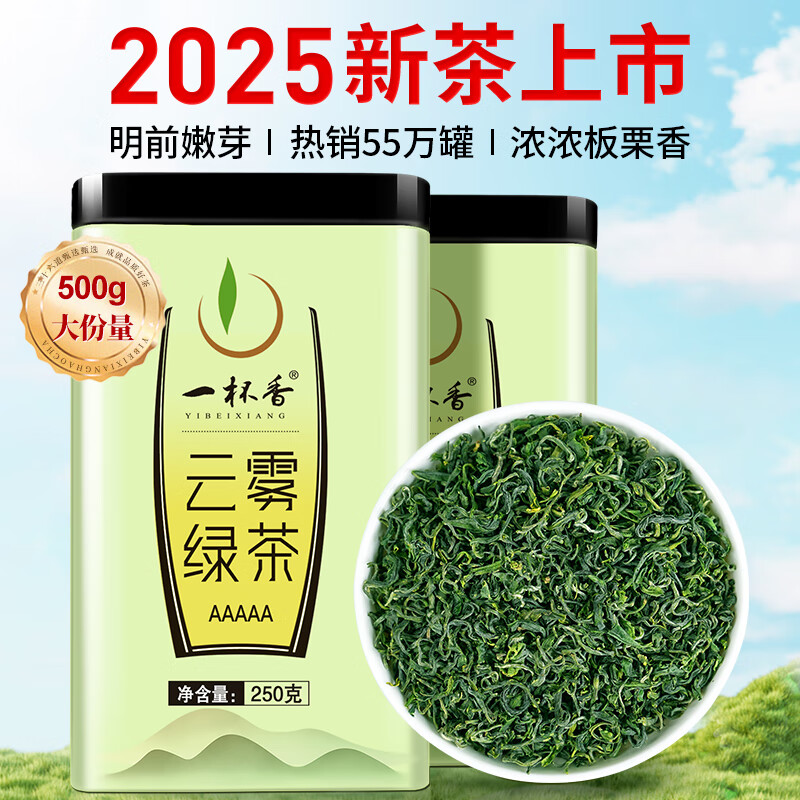 A cup of fragrant tea leaf green tea Mingqian mountain cloud 500g 2025 new tea sunshine sufficient New Year gift box for self-drinking