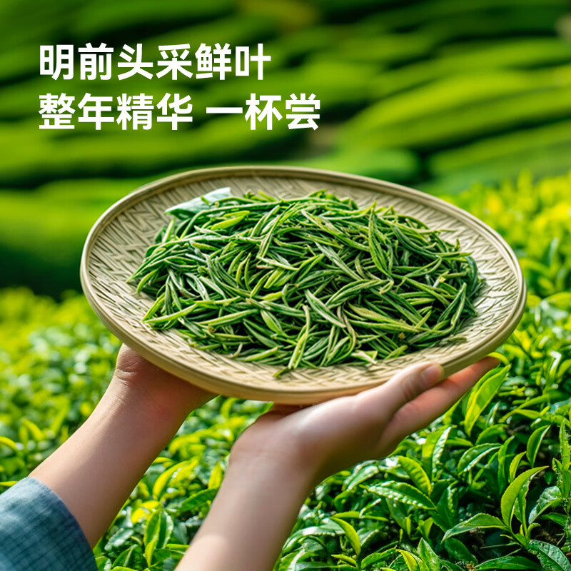 Jingdong Made in Tokyo 2025 New Tea Special Grade Mingqian Birds tongue 200g Green Tea Tea Buds Drink Yourself Jingdong Self-operated Gift Bag