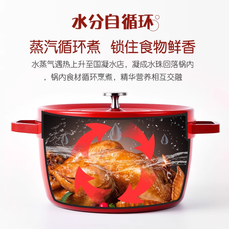 SSIIXX Japanese brand enamel pot ceramic pot flat bottom double-eared soup pot stew pot wok induction cooker universal household gift enamel pot induction cooker / gas stove 24cm