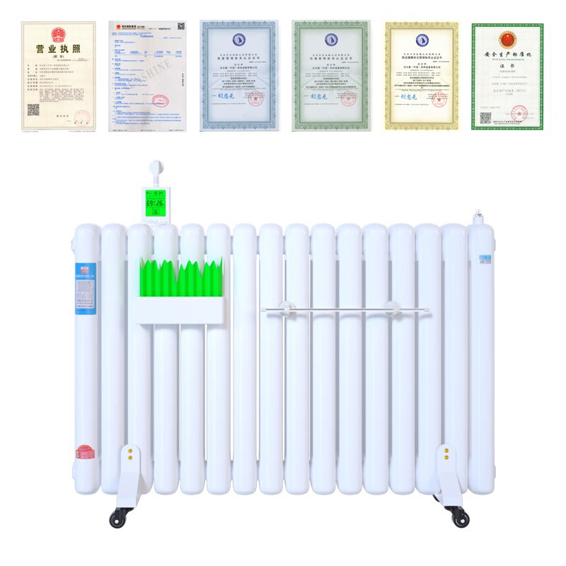 BEYZK Walburg smart water injection and water electric radiator household water heating heater heating water electric heater energy saving 9-speed remote control voice model dual 10-column supply 0mm*0 column