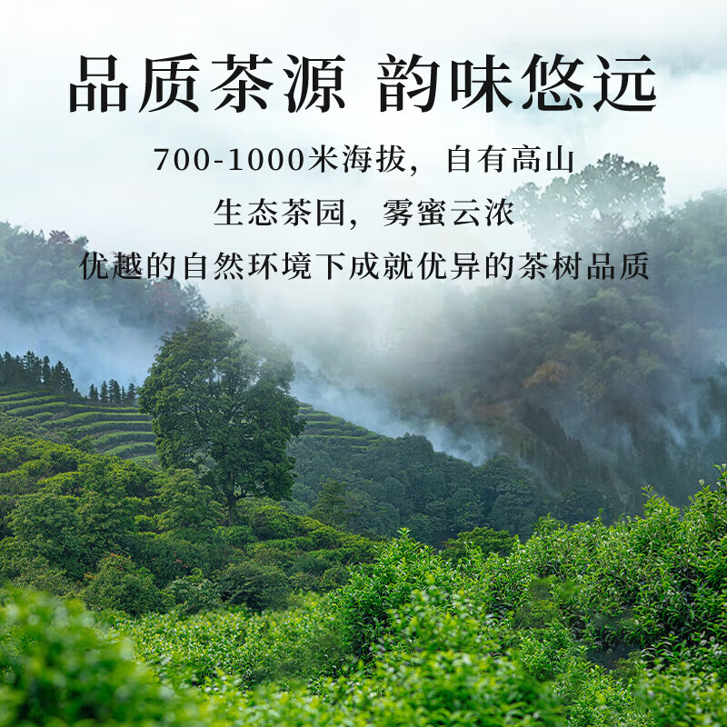 Master Cong Oolong Tea, I’m OK, I’m Brewing Phoenix Dancong Duck Shit Fragrance Premium 8g Full Fire Infusion Pack to Try Dancong Tea