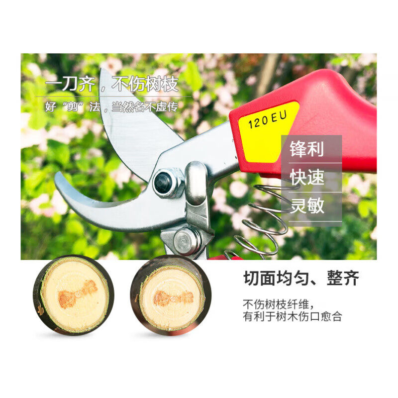 Japan imported pruning shears gardening shears garden tools scissors fruit tree shears thick branch shears ARS Alice pruning shears 120EU + shear set