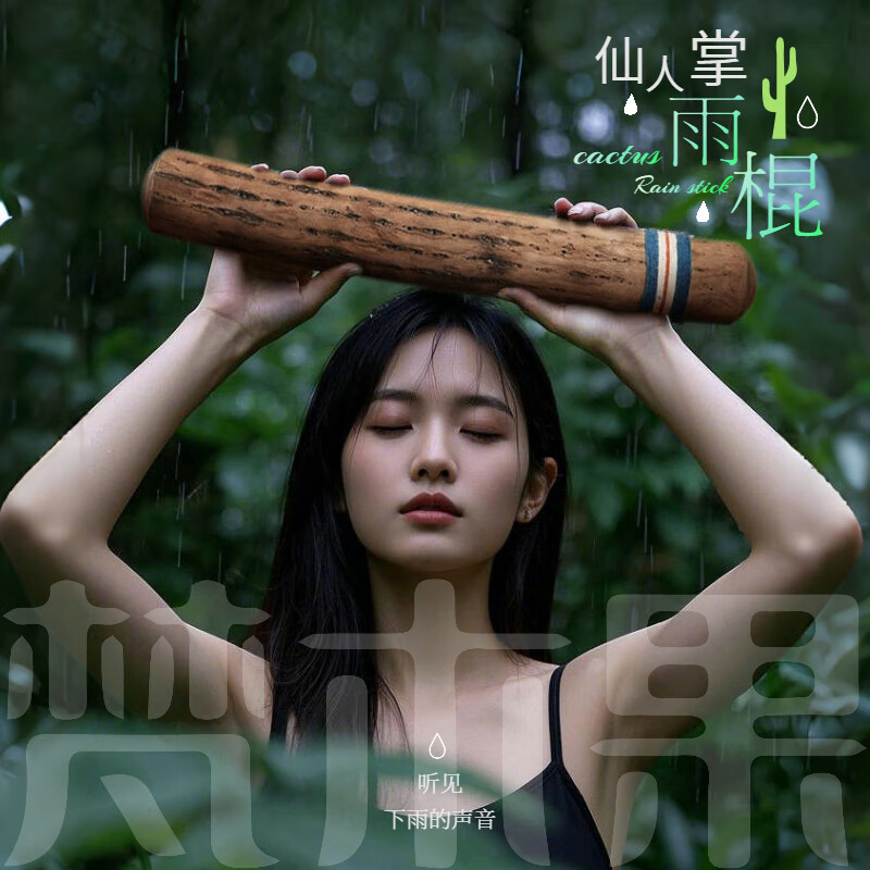 Fanmu Guo & De Rui Healing Rain Stick South America Chile De Rui Cactus Rain Sounder Rain Sound Tube Ethnic Minor Instrument South American Palm L=75cm