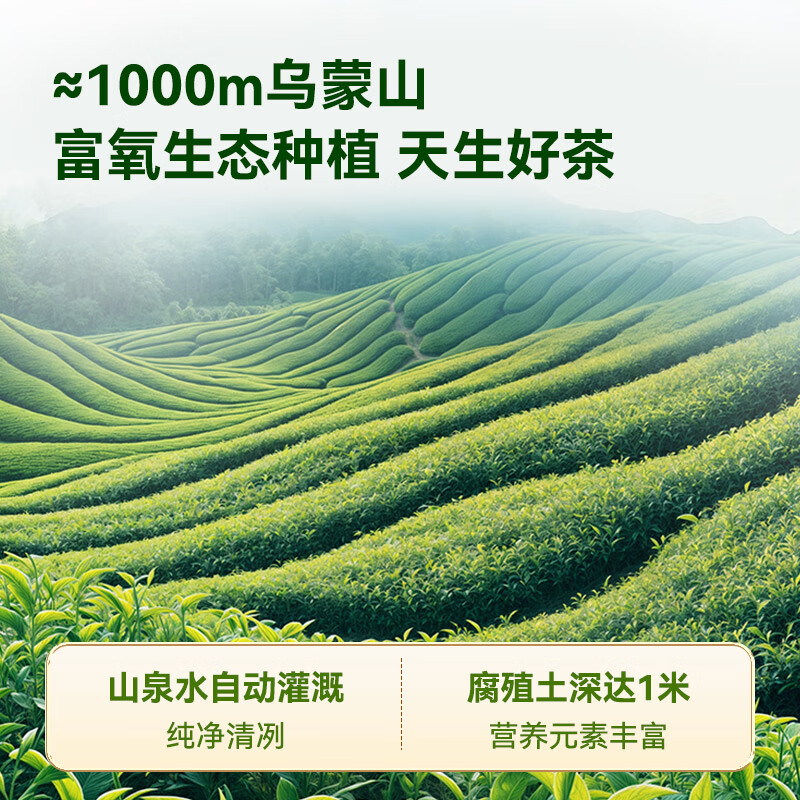Jingdong Made in Tokyo 2025 New Tea Special Grade Mingqian Birds tongue 200g Green Tea Tea Buds Drink Yourself Jingdong Self-operated Gift Bag