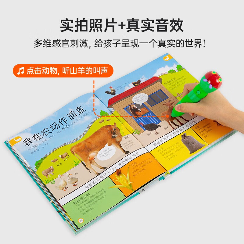 Little Been Click Reading Edition DK Children's Encyclopedia Those Important Things 3-6 years old Caterpillar Reading Pen Picture Book Popular Science Encyclopedia Entry-Level Encyclopedia