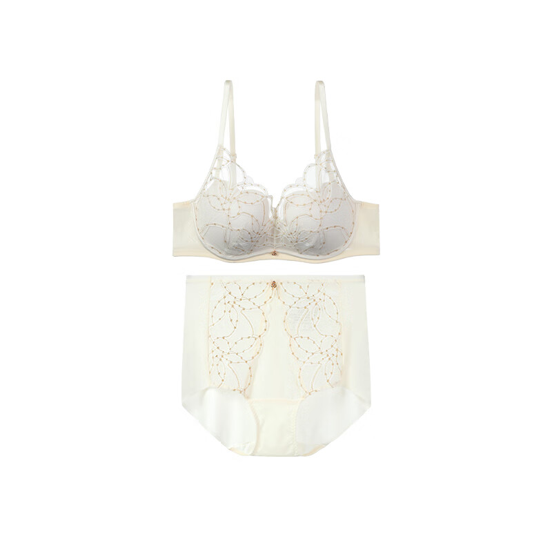 Embry 2025 New Product Starry Rose Comfort Cup Lace Bra Women's Small Breast Push-Up No Wire Bra Set Gardenia White CRM 75B L