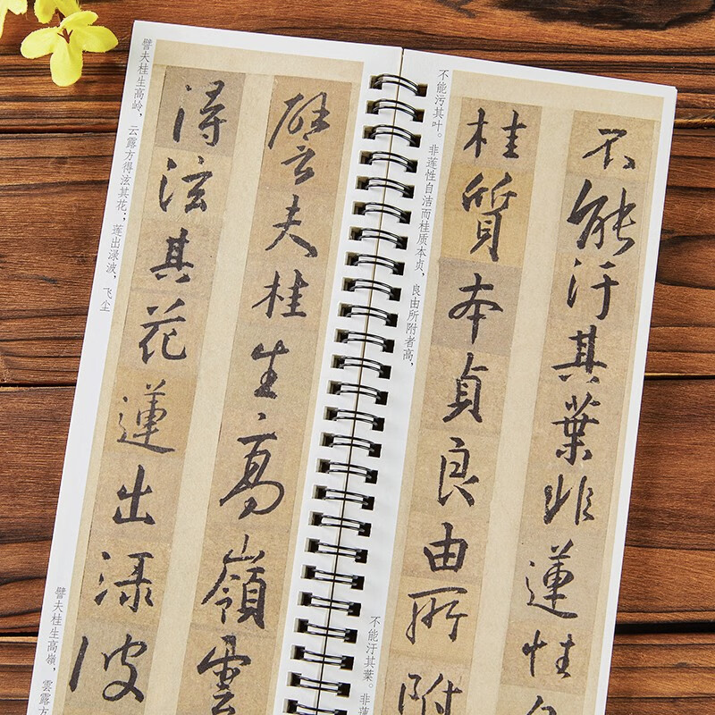 Classic inscriptions, calligraphy copy cards, and ink copy of Huairen's Collection of Wang Xizhi's Preface to the Holy Religion