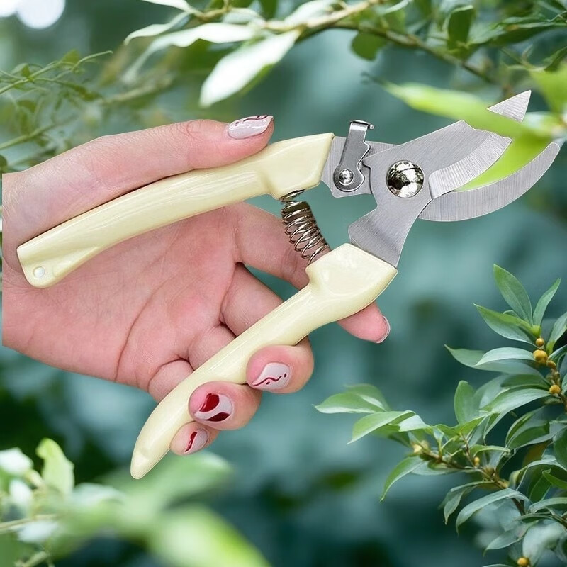 Orange Central gardening shears, powerful stainless steel labor-saving pruning pruning fruit tree thick branches special scissors
