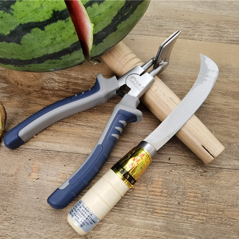 Cat melon opener, melon breaker tool, melon opener, melon clip, melon cutter, melon breaker, nickel-plated melon opener, gray long handle model 1