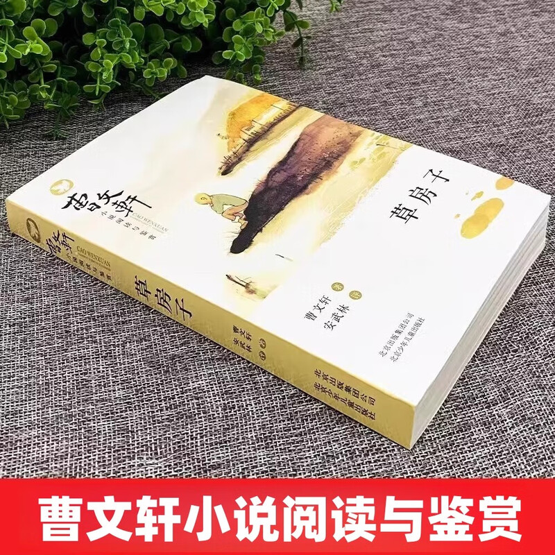 Genuine Cao Fang Fang House books Cao Wenxuan's novel series must-read extracurricular classics for primary school students in grades 3, 4, 5 and 6 aged 10-12 years old A hundred Chinese children's literature classics series Classic books recommended by Chinese teachers Children's literature books for fifth and sixth graders