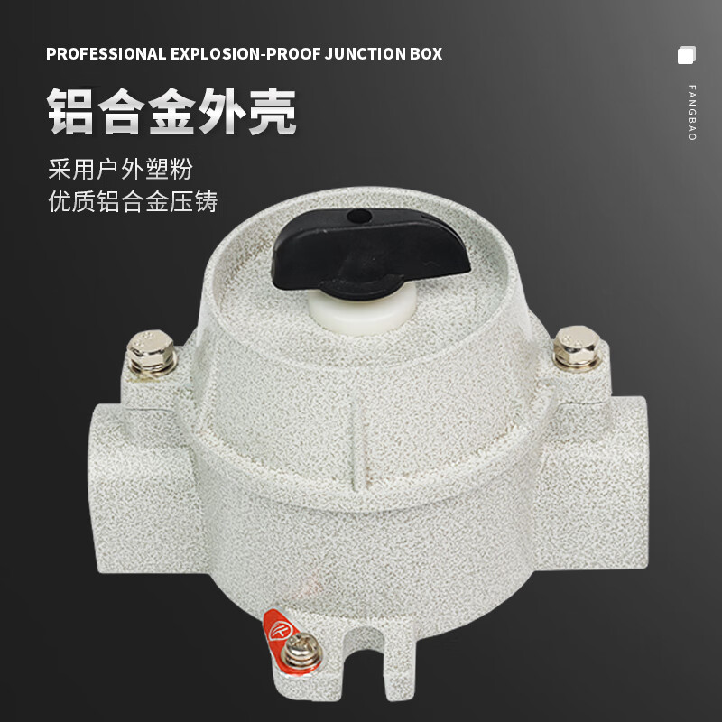 Explosion-proof lighting switch SW-10 waterproof 220V 380V explosion-proof switch 10A16A control button wall socket explosion-proof lighting switch single control 220V16A (thick version