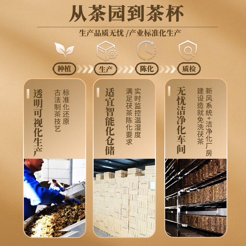 Sheng'an Changjingyang Fu Tea Heritage 1368 Black Tea Golden Flower Fu Brick Tea Shaanxi Xi'an Specialty Waxy Flavor 200g