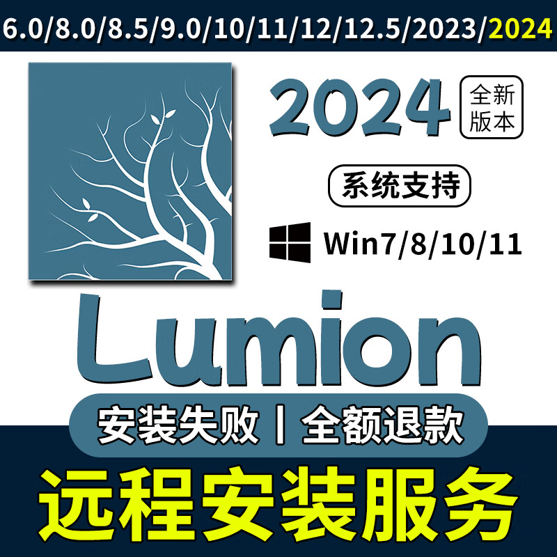 Lumion new version 2024 installation package 12.5/12/11/10/9/8/6 supports win remote installation service remote installation service choose any version win system