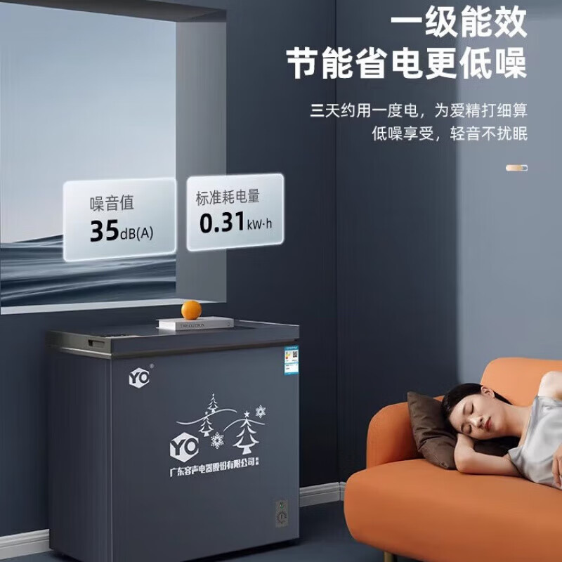 容声(Ronshen)一级能效减霜冰柜家用小型冷藏冷冻大容量两用冷柜冰箱YO1460 118单温节能款冷冻冷藏可转换 48L