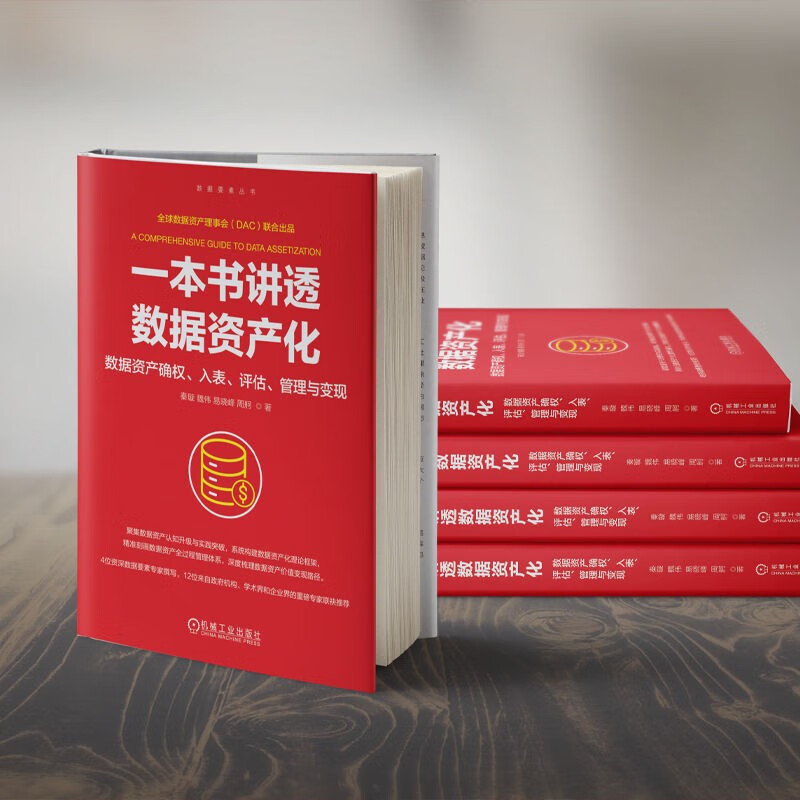 A book that thoroughly explains the capitalization of data. The confirmation, inclusion, evaluation, management and realization of data assets.