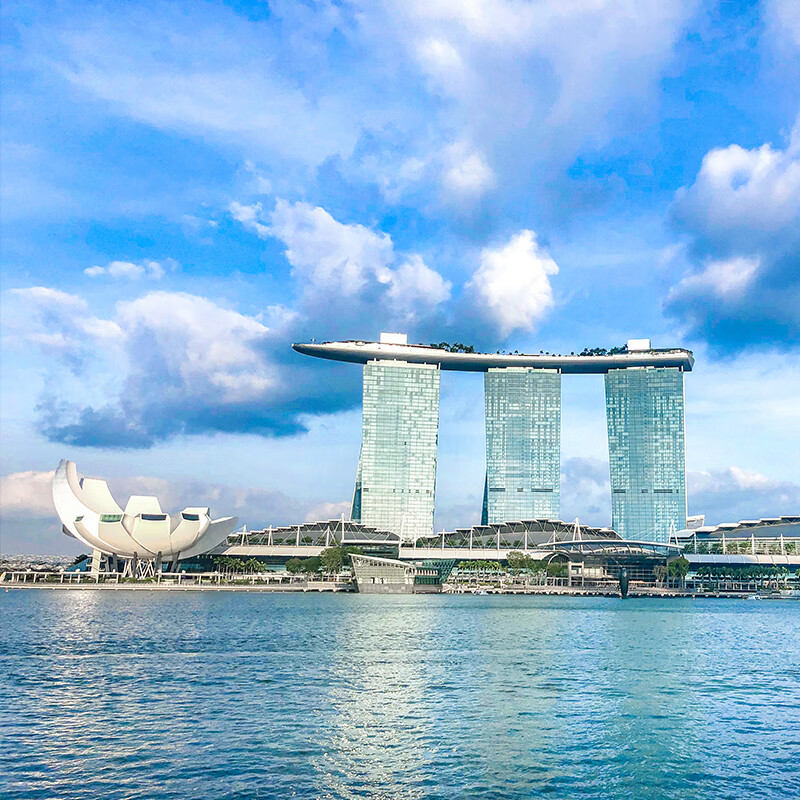 Next day delivery and invoice Singapore Malaysia Indonesia Thailand travel phone card mobile phone data card unlimited high speed every day valid for 7 days - you can contact customer service to renew the number of data days