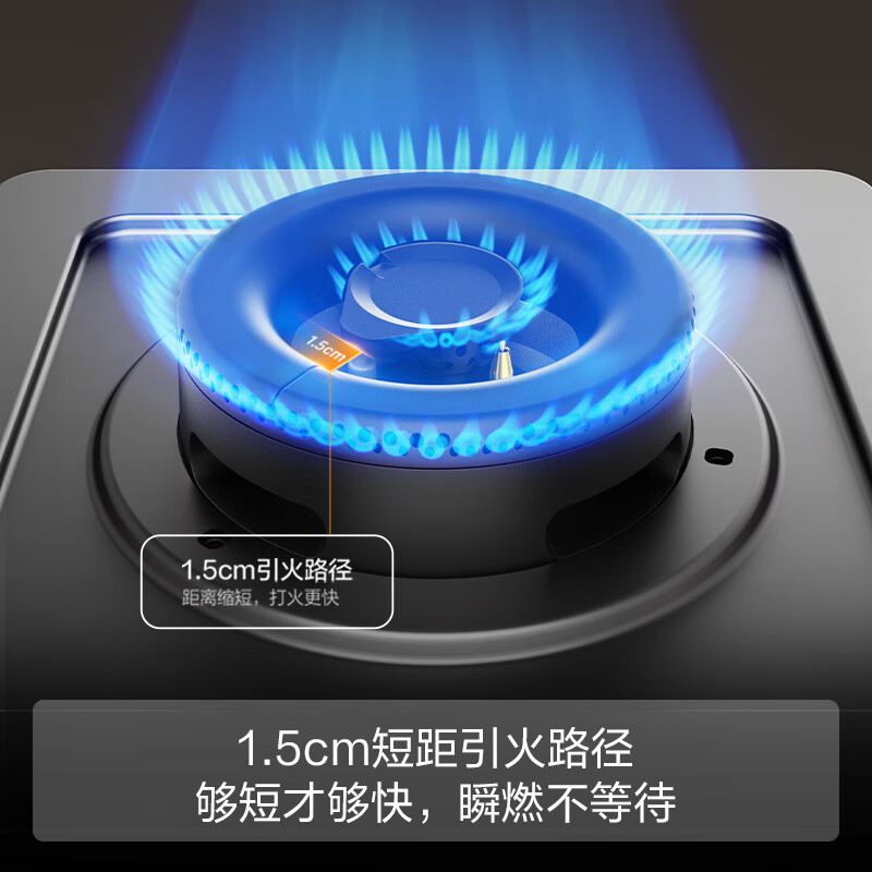 FOTILE Gas Stove Natural Gas Household Embedded Double Stove Adjustable Replacement Stove 5.2kW* Fierce Fire Gas Stove 02-TH36B Government Subsidy 20%