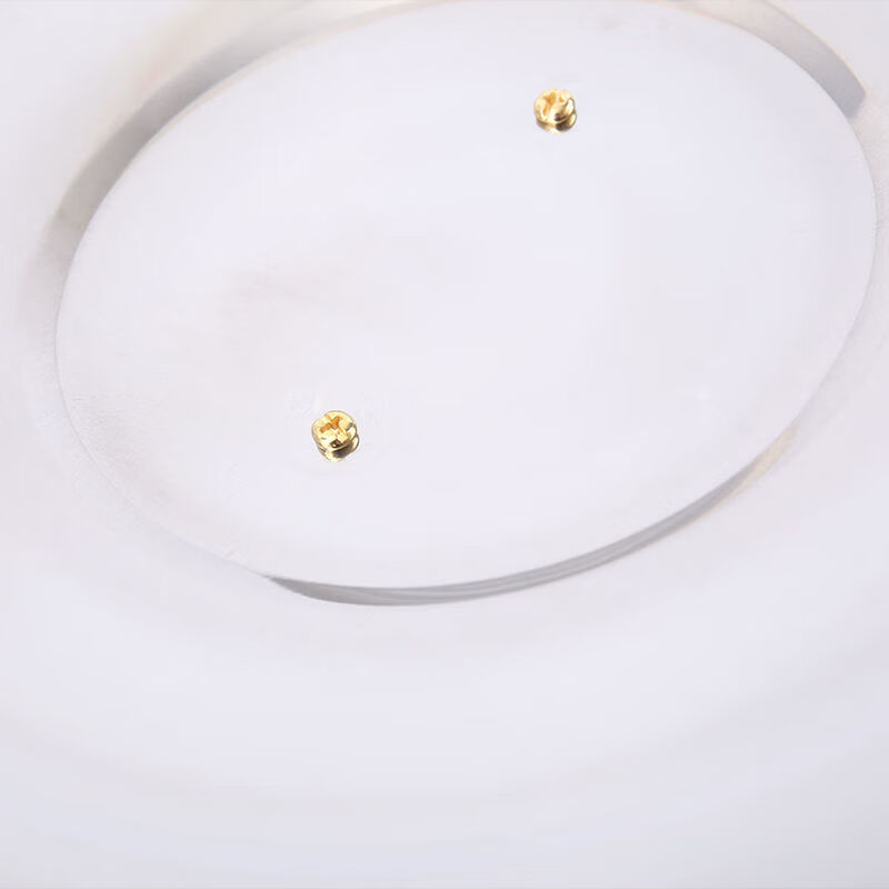 Qinkai stainless steel pot lid thickened wok lid stir-frying small pot lid frying pan lid extra large pot lid large bucket lid ground pot lid 32 extra thick stainless steel pot lid