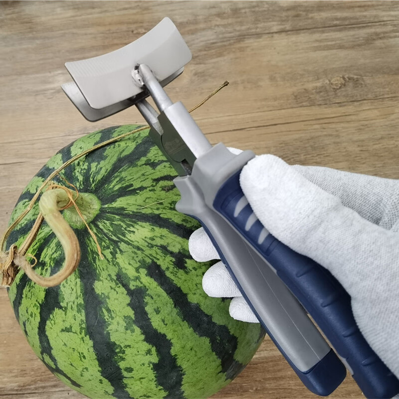 Cat melon opener, melon breaker tool, melon opener, melon clip, melon cutter, melon breaker, nickel-plated melon opener, gray long handle model 1