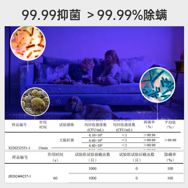 Hoover Hoover carpet and fabric professional cleaning machine home commercial hotel billiard room cleaning and suction integrated host