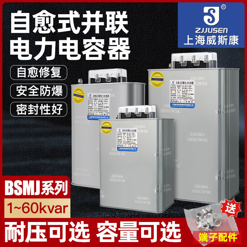 Shanghai Viscon compensation parallel power capacitor 0.45-20-3 30-3 40 50 15Kvar SH Viscon BSMJ0.525-60-3