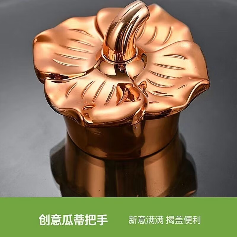 Ye Yu Maifan stone micro-pressure cooker household binaural stew steamer non-stick soup pot accessories gas nozzle pot lid 22cm red sealing ring