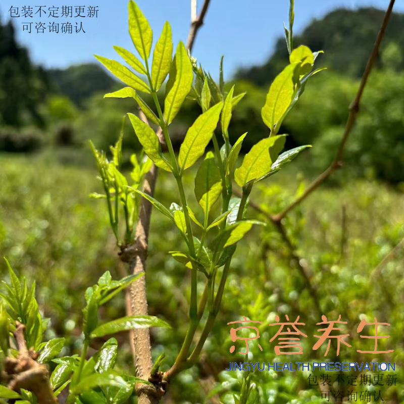 Yanhai Zhangjiajie Berry Tea Longxu Yajian Enshi Vine Tea Tujia Manna Special Grade Laifeng Vine Tea Mold Tea Yongshun Mold Tea 500g