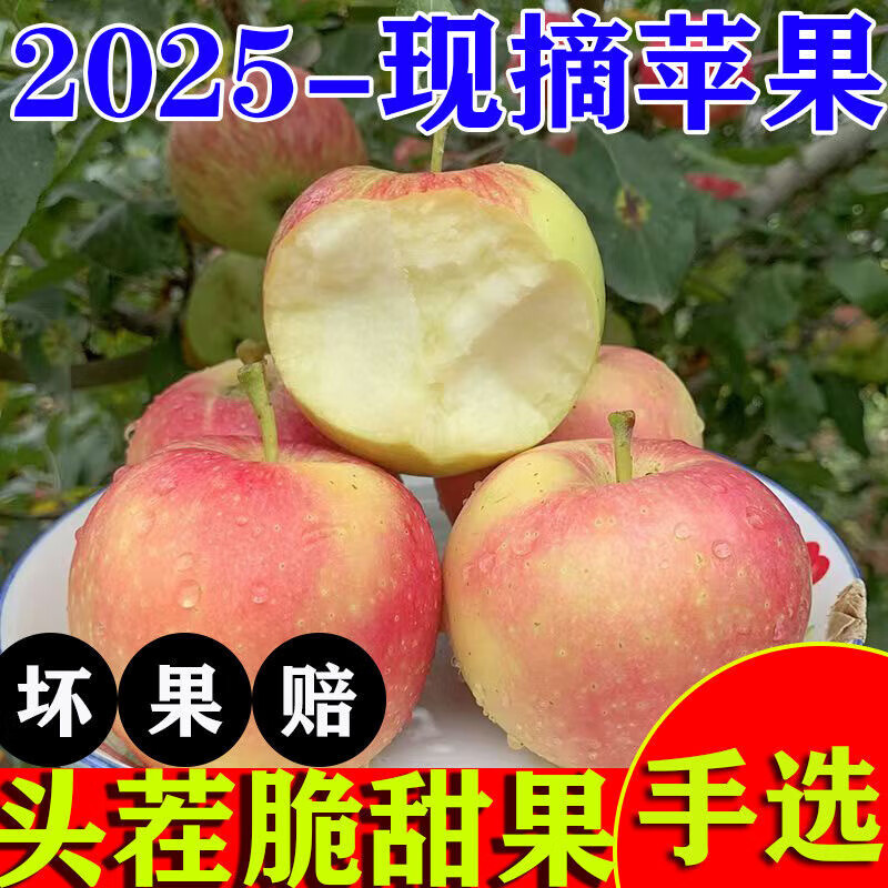 Northeastern Gala Apple 5kg 3kg Freshly Picked Crispy Sweet Small Apple Seasonal Fruit for Pregnant Women Weight 5kg