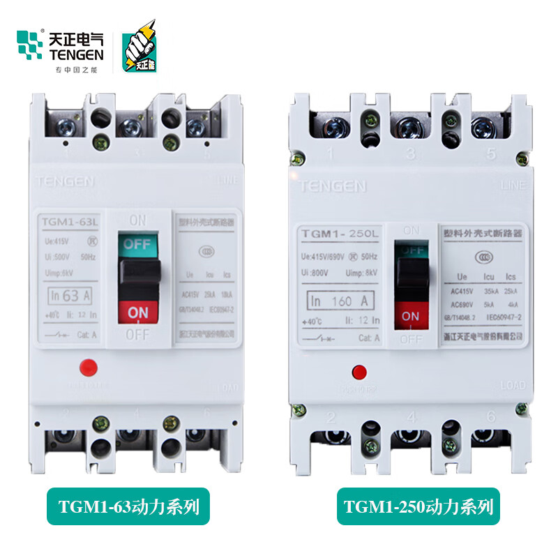 Yue Changsheng TENGEN Tianzheng TGM1 plastic case circuit breaker 33002 motor protection circuit breaker air switch power type 315A 3P