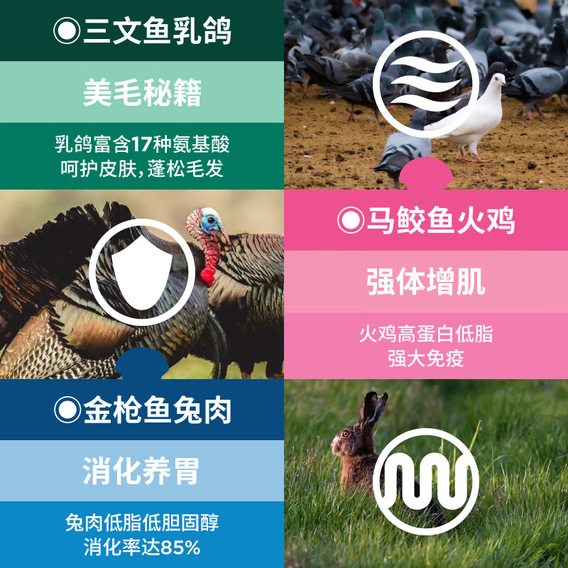 LEGENDSANDY LEGENDSANDY cat snacks wet food staple cans full price real meat cans cute series mixed flavors 50g*18 cans