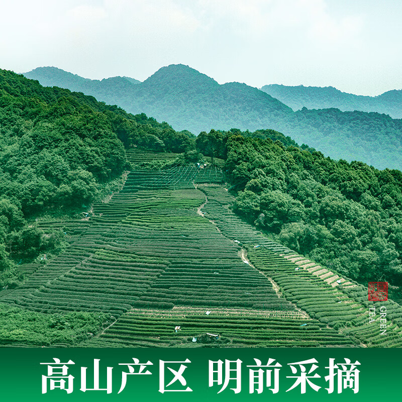 Yangchun West Lake Longjing Tea 2025 Green Tea New Tea Spring Tea Mingqian Longjing 250g Drink for yourself as a gift Bean Flavor Longjing Bag