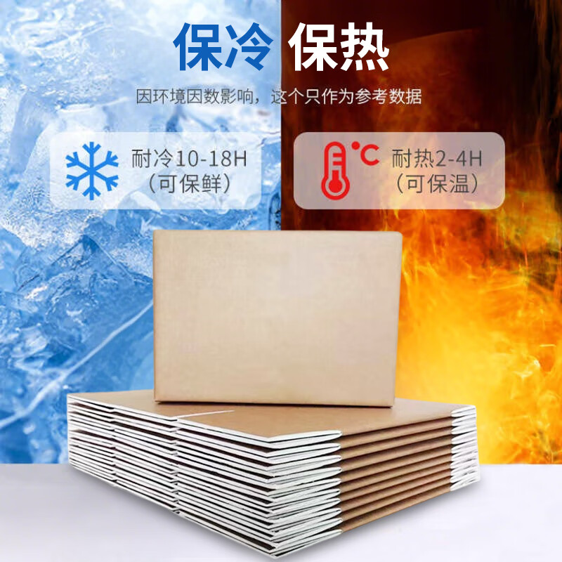 Befute Insulated Box Foam Box Aluminum Foil Insulated Box Fresh Fruit Logistics Cold Chain Fresh Packaging Box Express Box No. 5 290*175*210mm*1