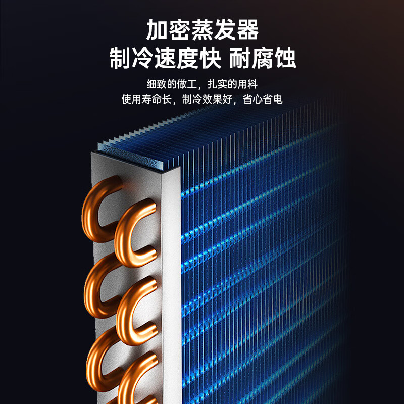 Royalstar air-cooled frost-free full-screen refrigerated fresh-keeping display cabinet commercial double-door Internet celebrity bar ktv high-end beverage wine cabinet freezer glass door refrigerator single door 0.66 meters air-cooled frost-free 400L