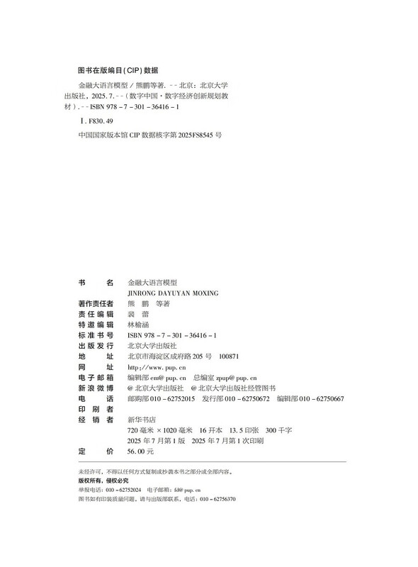 Financial Language Model Digital China Digital Economy Innovation Planning Textbook