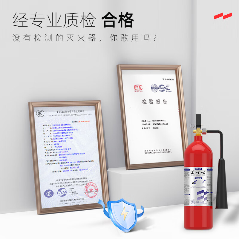 YUANBANG 25 new national standard portable carbon dioxide fire extinguisher 3KG fire equipment gas machine room precision instrument commercial MT/BE3