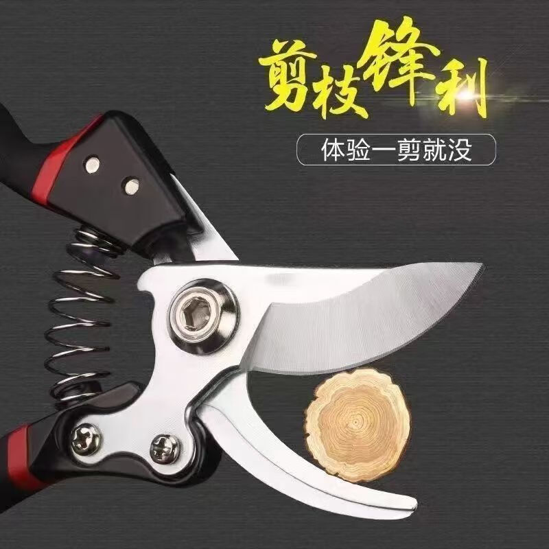 FANCYCHIC German craftsmanship imported steel branch shears tree shears fruit tree shears pruning scissors household flowers and grapes pruning branches German imported steel blades nationwide fast delivery super labor-saving original German thick branch shears sk+5