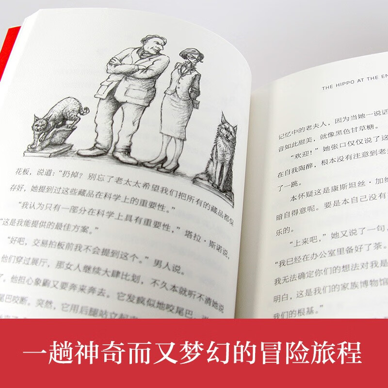 Book Series of Beluga International Award Writers Time Museum Summer Homework Summer Connection from Primary to Secondary School Summer Connection from Primary to Junior High School