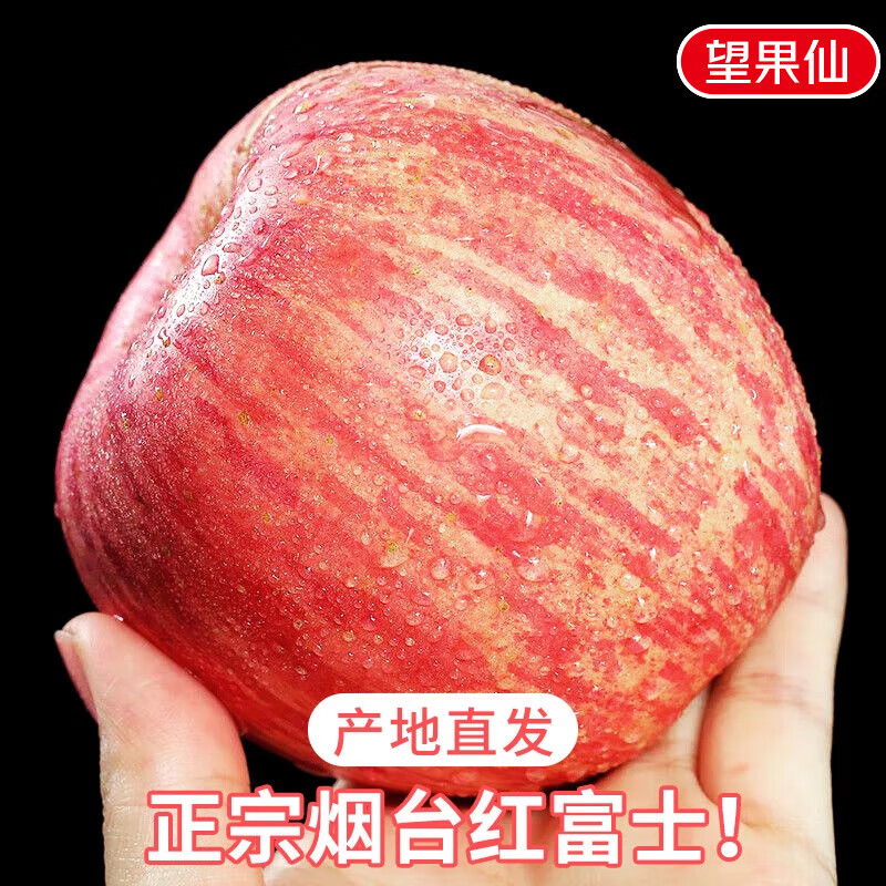 Jingdida Yantai Apple Fruit Red Fuji Apple Net Weight 5 Jin Single Fruit 80mm + New Year's Fruit Direct Shipping from the Source