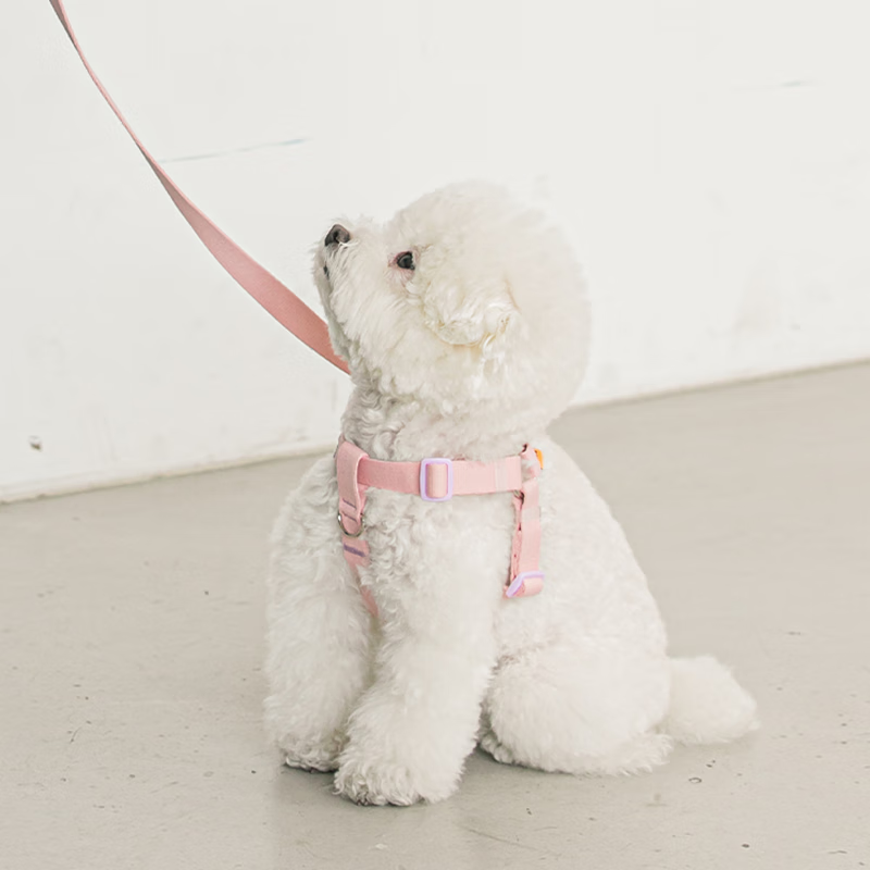 BITE ME candy crayon strap (6 colors) - S/M0