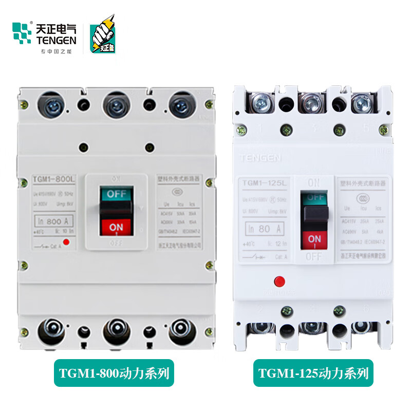 Yue Changsheng TENGEN Tianzheng TGM1 plastic case circuit breaker 33002 motor protection circuit breaker air switch power type 315A 3P