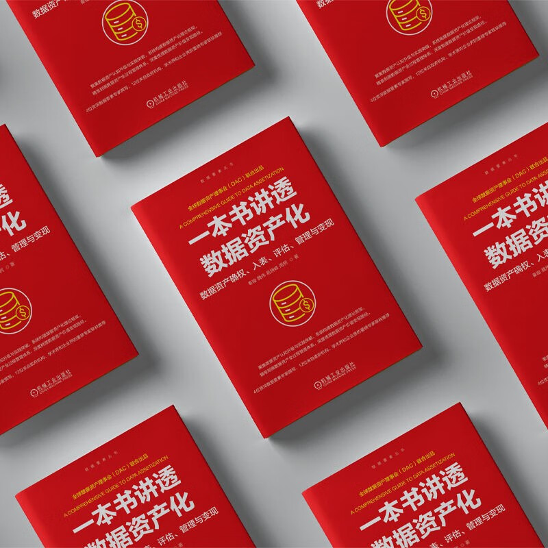 A book that thoroughly explains the capitalization of data. The confirmation, inclusion, evaluation, management and realization of data assets.