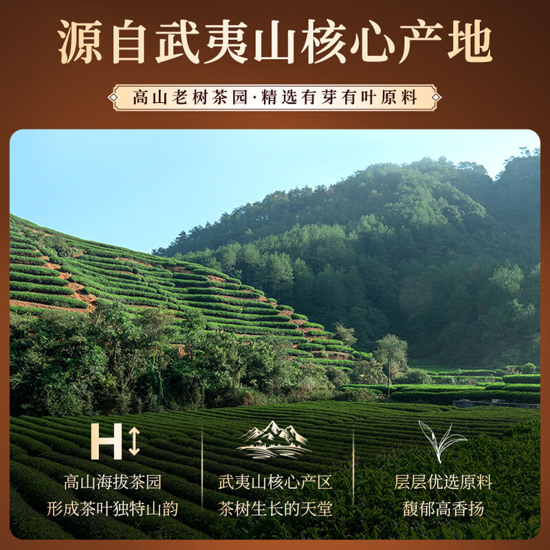 Qichun Tea Special Dahongpao Wuyishan Tea Gift Box 96g Small Can Gift Box for New Year as a souvenir for the elders